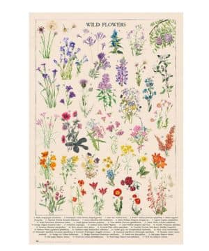 Grupo Erik Poster Botanical Wild Flowers - Poster flores - Laminas decorativas 61x91,5cm a todo color Posters