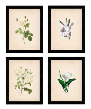 Nacnic - Pack Láminas Flores Blancas Vintage - Pósters Decorativos Estilo Naturaleza, Botánica y Plantas