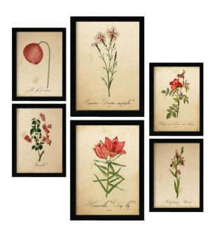 Nacnic Posters de Flores Rojas. Ilustraciones de Naturaleza y Botánica Estilo Papel Vintage con Temas Florales.