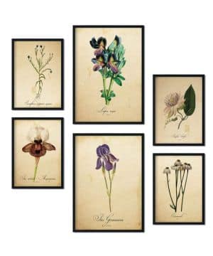 Nacnic Set de 6 Posters de Flores Vintage. Colección de láminas con estética Collage Tamaños A3 y A4.