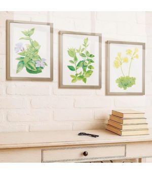 Pack de 3 Láminas Botánicas A4 – Set Posters de Ilustraciones Florales en Papel Texturizado – Colección plantas y flores