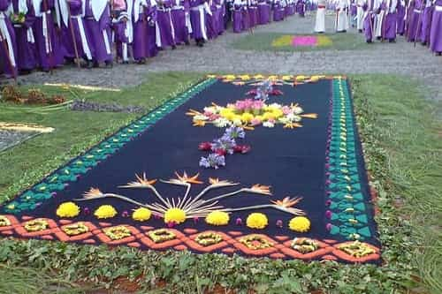 alfombras de flores naturales