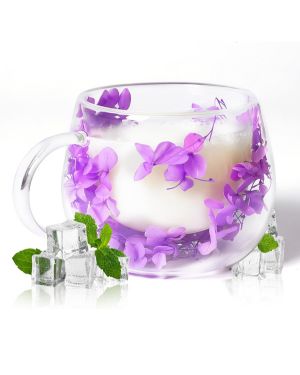 300ml Tazas de Cafe Cristal Flor Seca, Tazas de Café de Vidrio de Doble Pared con Asa, Ideas de Regalo